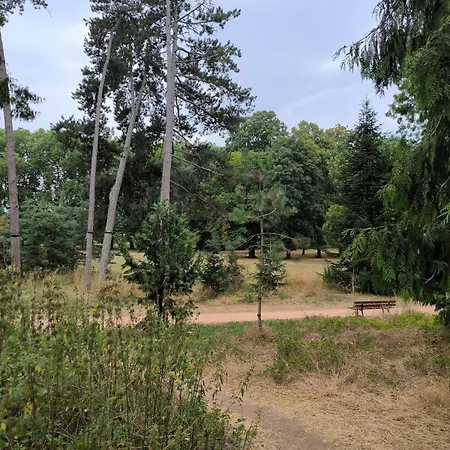 Maison Calme Parc Vichy